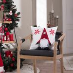 Μαξιλαροθήκη Sven 04 45x45 Teoran