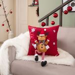 Μαξιλαροθήκη Sven 11 45x45 Teoran