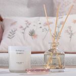 Αρωματικό κερί Bahama Breeze 270gr Nef-Nef Homeware