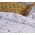Σετ Σεντόνια Dreamer Grey Υπέρδιπλα 2.40x2.60+(1.60x2.00+35)Κατωσέντονο με Λάστιxο  100%Βαμβάκι NEF-NEF