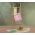 Ποτηρόπανο  Delicious Rose Βελουτέ 40x60 NEF-NEF