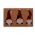 Ταπέτο Εισόδου 40x60 Three Dwarfs 40X60 Nef-Nef Homeware