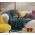 Μαξιλάρι Bieds Of Paradise Green Διακοσμητικό 45x45 Nef-Nef Homeware