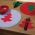 Σετ 2τμχ. Σουπλά Felt Tree Red Nef-Nef Homeware