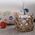 Καλάθι Υακίνθου Mesh D35x22 Nef-Nef Homeware