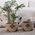 Καλάθι  Alemao Natural/Terra D22x14 Nef-Nef Homeware