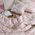 Σετ Σεντόνια Dreamel Pink Μονά 170x270 Nef-Nef Homeware