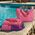 Τσάντα Θαλάσσης Sparkle Coral 41x39x24 Nef-Nef Homeware