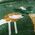 Κουβέρτα Παιδική Jungle Mania 160x220 Nef Nef Homeware