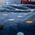 Κουβέρτα Παιδική Dots Blue 160x220 Nef Nef Homeware