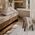 Πετσέτα Χεριών Apart Ecru 30x50 Nef Nef Homeware