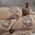 Πετσέτα Προσώπου Zeyn Beige 50x90 Nef Nef Homeware