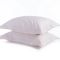 Σετ 2 τμχ. Μαξιλαροθήκες  Elements 24  Champagne 52x72 Nef-Nef Homeware